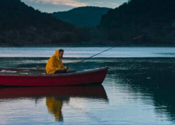 ۲۵ جایزه بین‌المللی در کارنامه فیلم «درخت خاموش»/محصول مشترک ایران و ترکیه