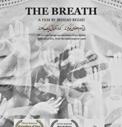 «نفس» بهترین فیلم جشنواره پالرمو شد