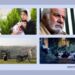 اکران چهار فیلم جدید در گروه سینمایی هنر و تجربه در آذر ماه 