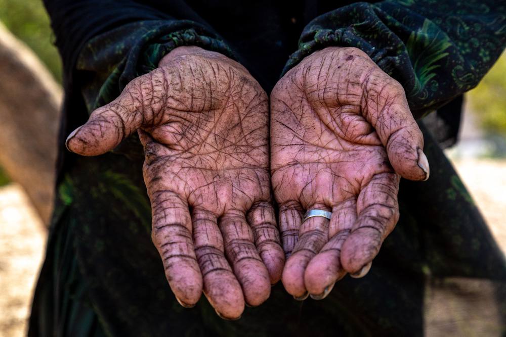 عکاس ایرانی برنده مدال طلای فیستوال عکس ابراهیم زمان ترکیه