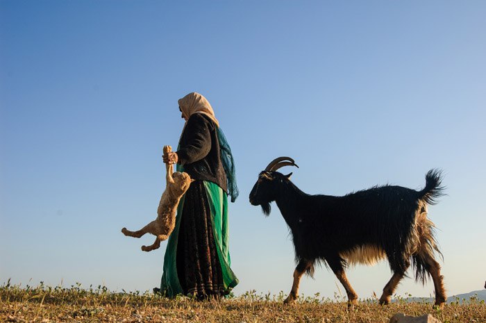 عکاس ایرانی برنده مدال طلای فیستوال عکس ابراهیم زمان ترکیه