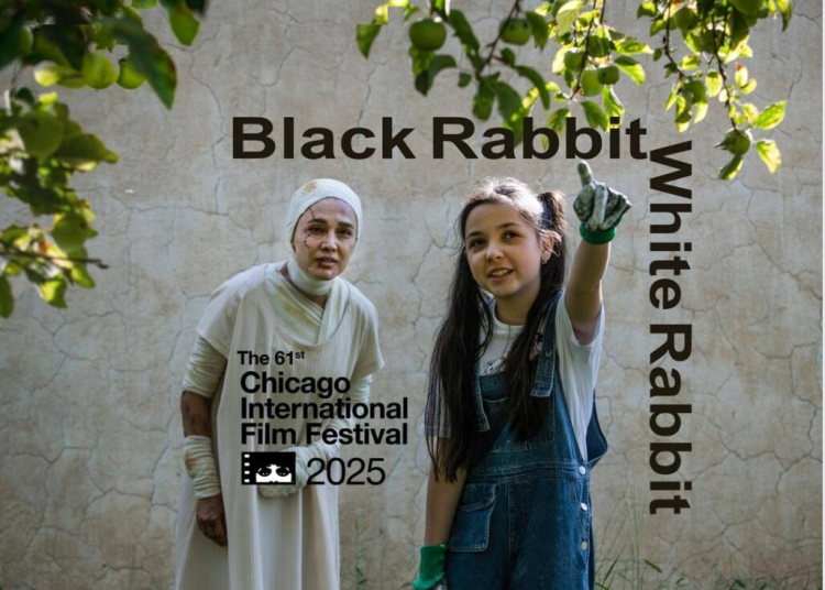 «خرگوش سیاه خرگوش سفید» راهی شیکاگو شد