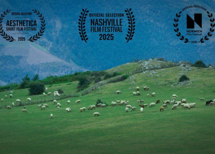 فیلم کوتاه «گوسفند» در جشنواره‌های آمریکایی و انگلیسی 