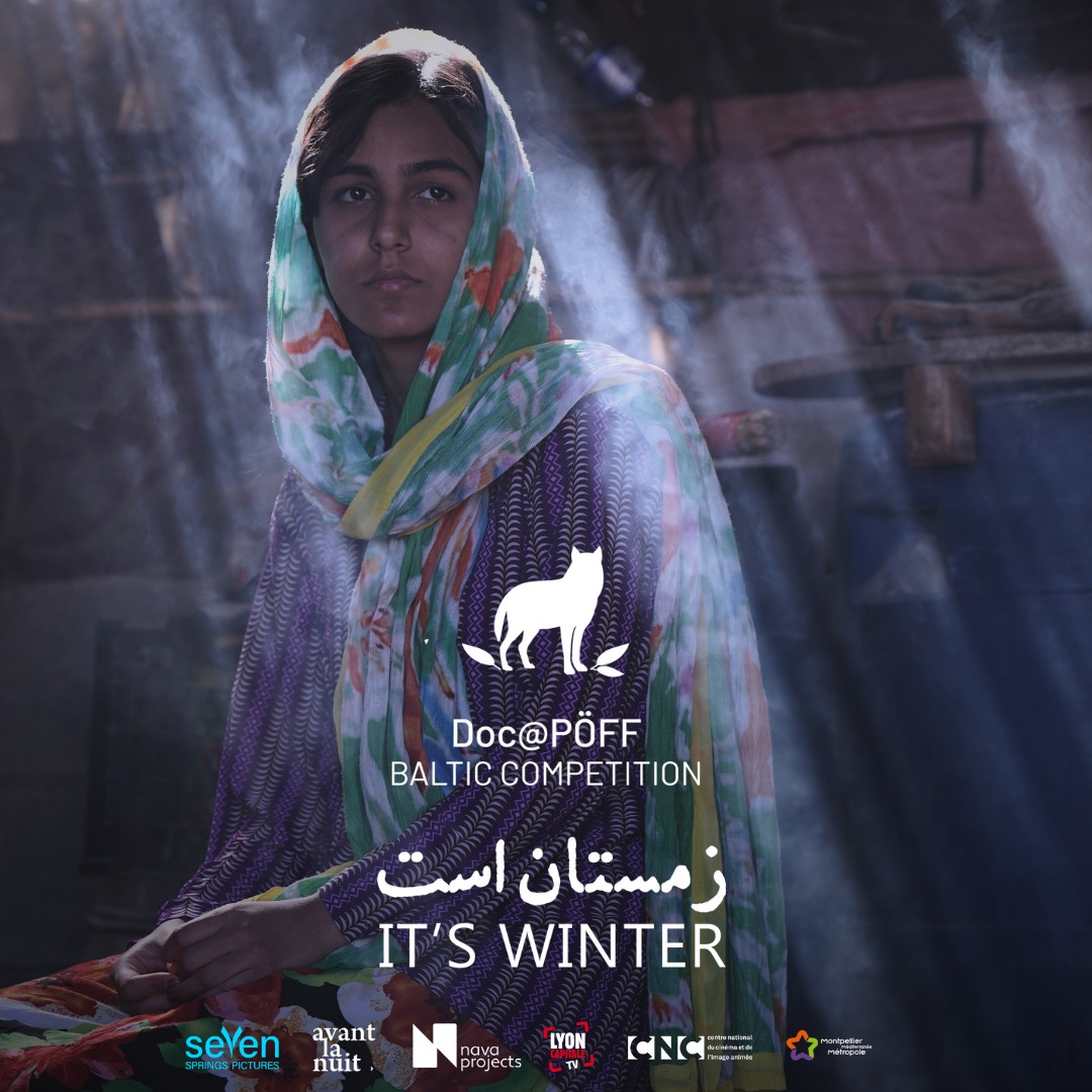 مستند زمستان است